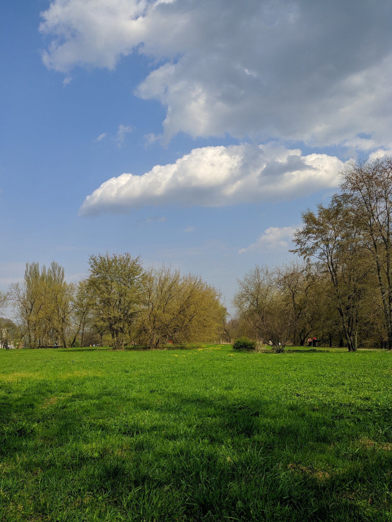 Walk in Kolomenskoye - My, Spring, Kolomenskoe, Mobile photography, Moscow, LG G6, Longpost