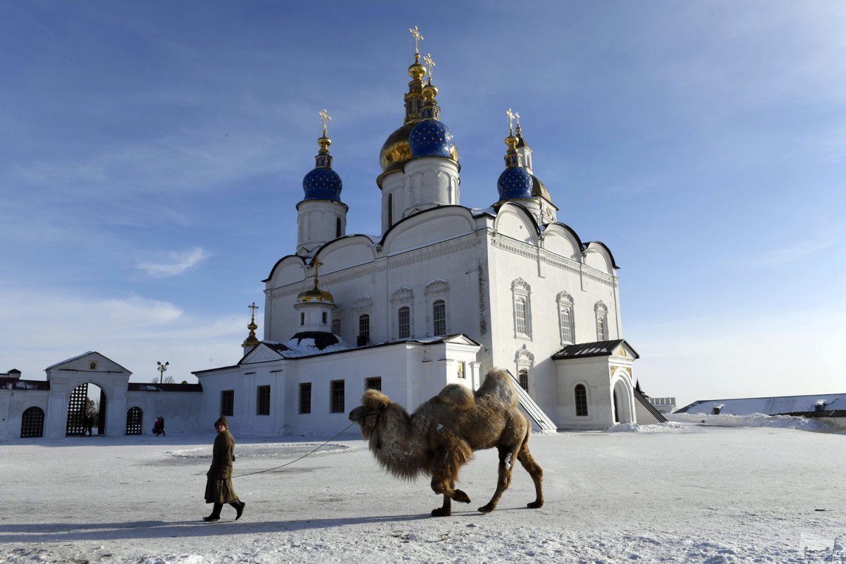 Фото из России, которые были сделаны в самый подходящий момент - Best of russia, Кадр, Конкурс, Люди, Россия, Фотография, Длиннопост