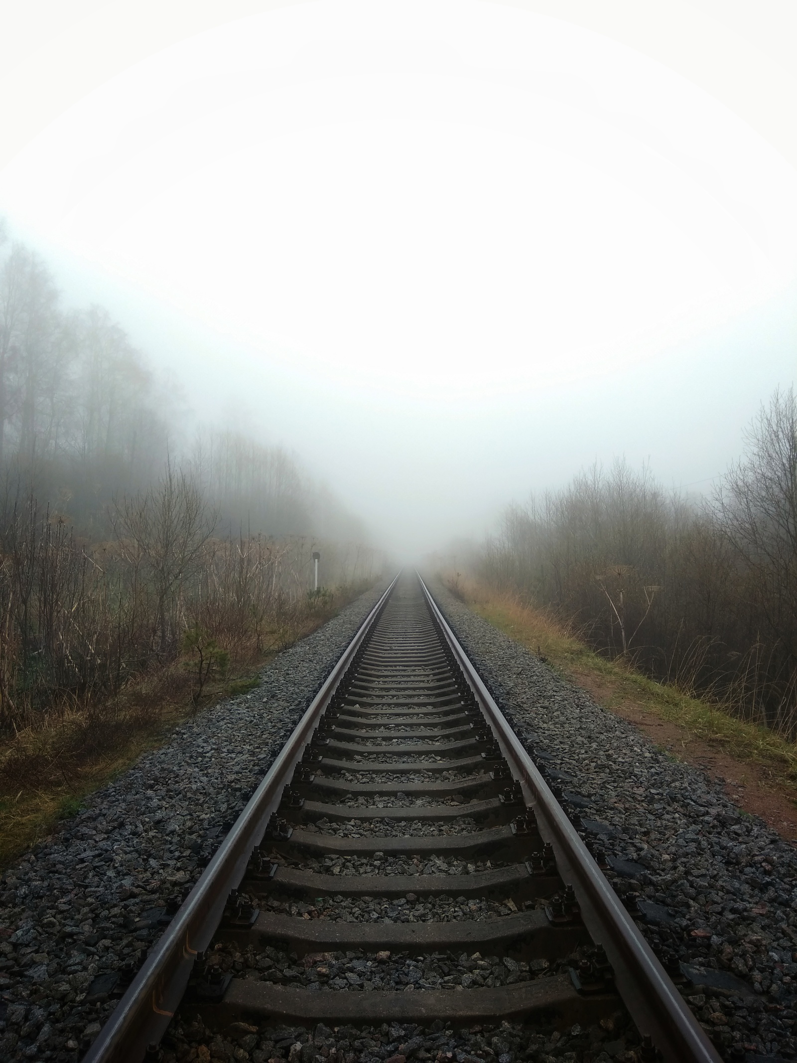 Foggy morning - My, Morning, Fog, Forest, Railway