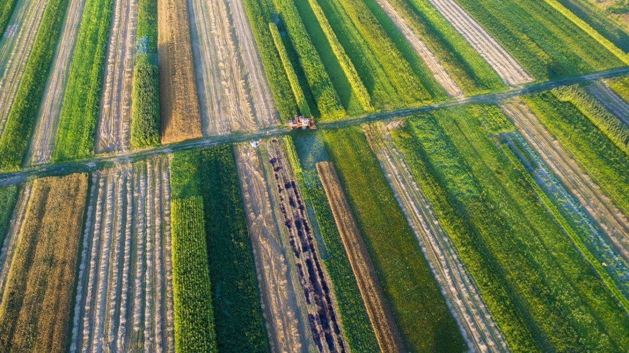 Geometry. - My, Quadcopter, The photo, DJI Phantom, Land, Flight