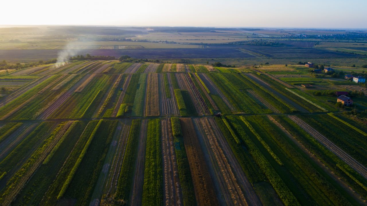 Геометрия. - Моё, Квадрокоптер, Фотография, DJI Phantom, Земля, Полет