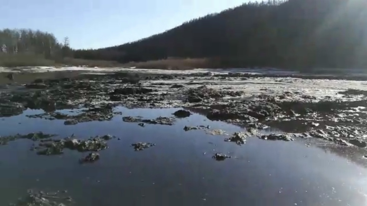 В Минохраны природы Якутии отреагировали на скандальное видео о загрязнении реки Чульман (видео) - Якутия, Нерюнгри, Район, Река, Чульман, Разлив, Мазут, Видео, Без рейтинга