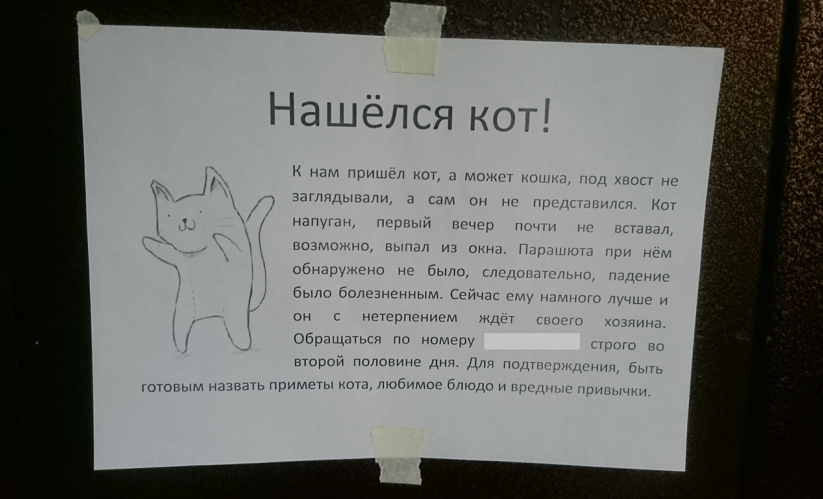 Объявление о продаже кота образец