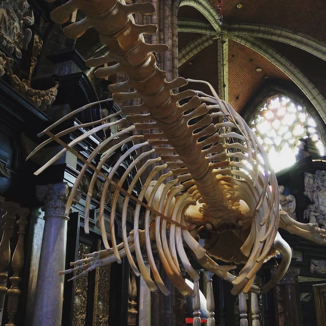 whale in the cathedral - My, Travels, Art, faith, Longpost