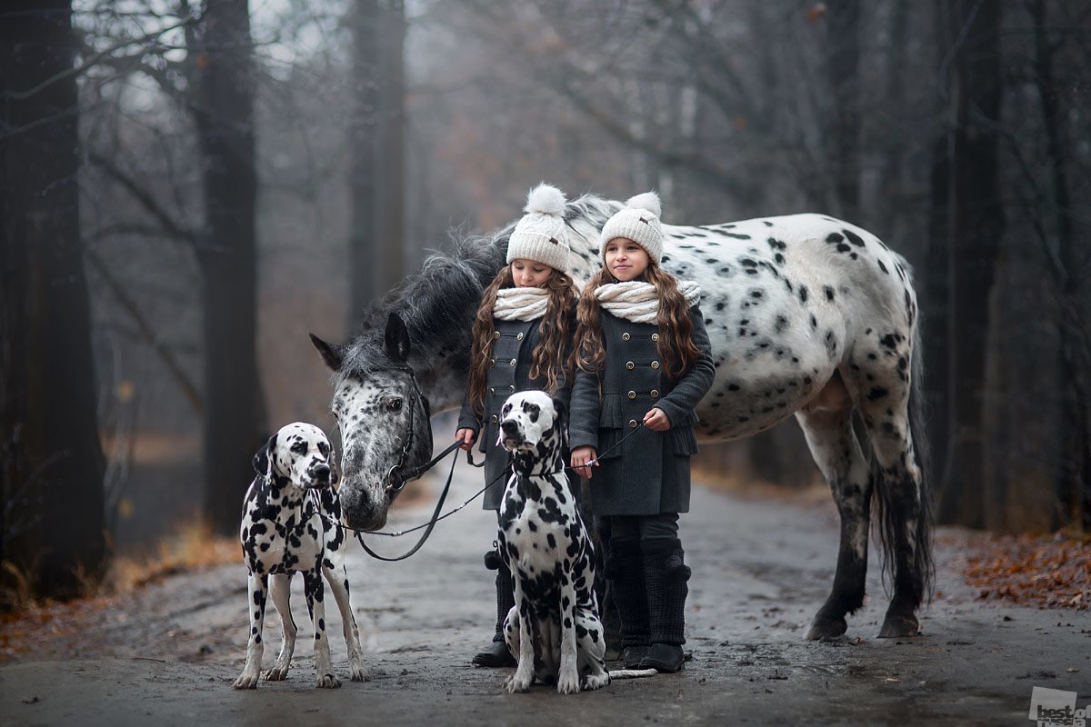 Фото из России, которые были сделаны в самый подходящий момент - Best of russia, Кадр, Конкурс, Люди, Россия, Фотография, Длиннопост