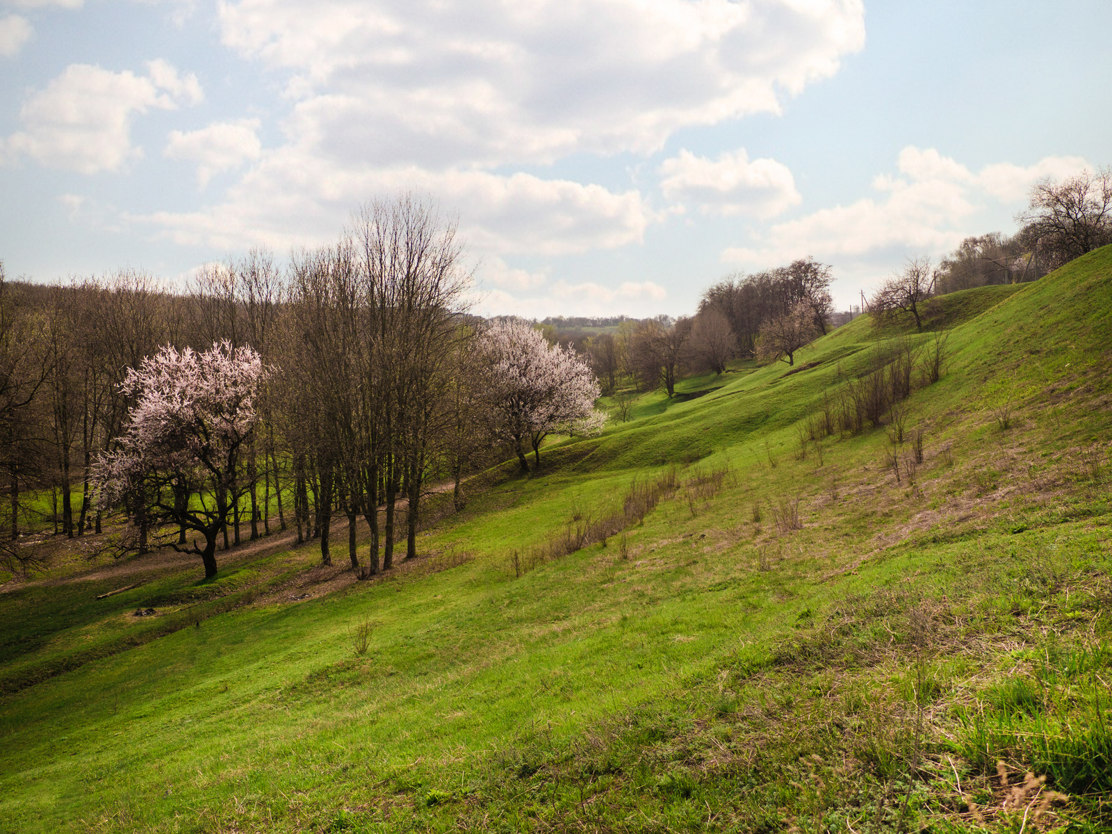 Spring - My, Spring, The photo, League Photos, Photographer, Landscape, Stream, Nature