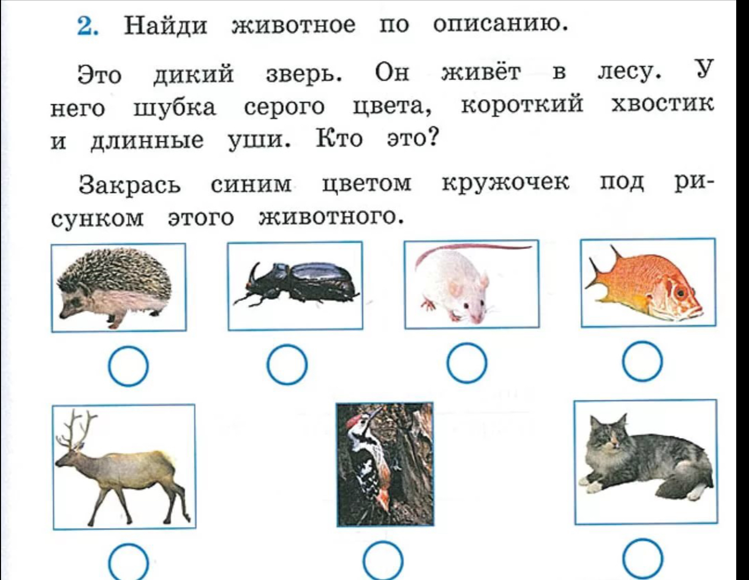 Помогите решить детскую задачку. - Моё, Детская задача, Гдз, Задача