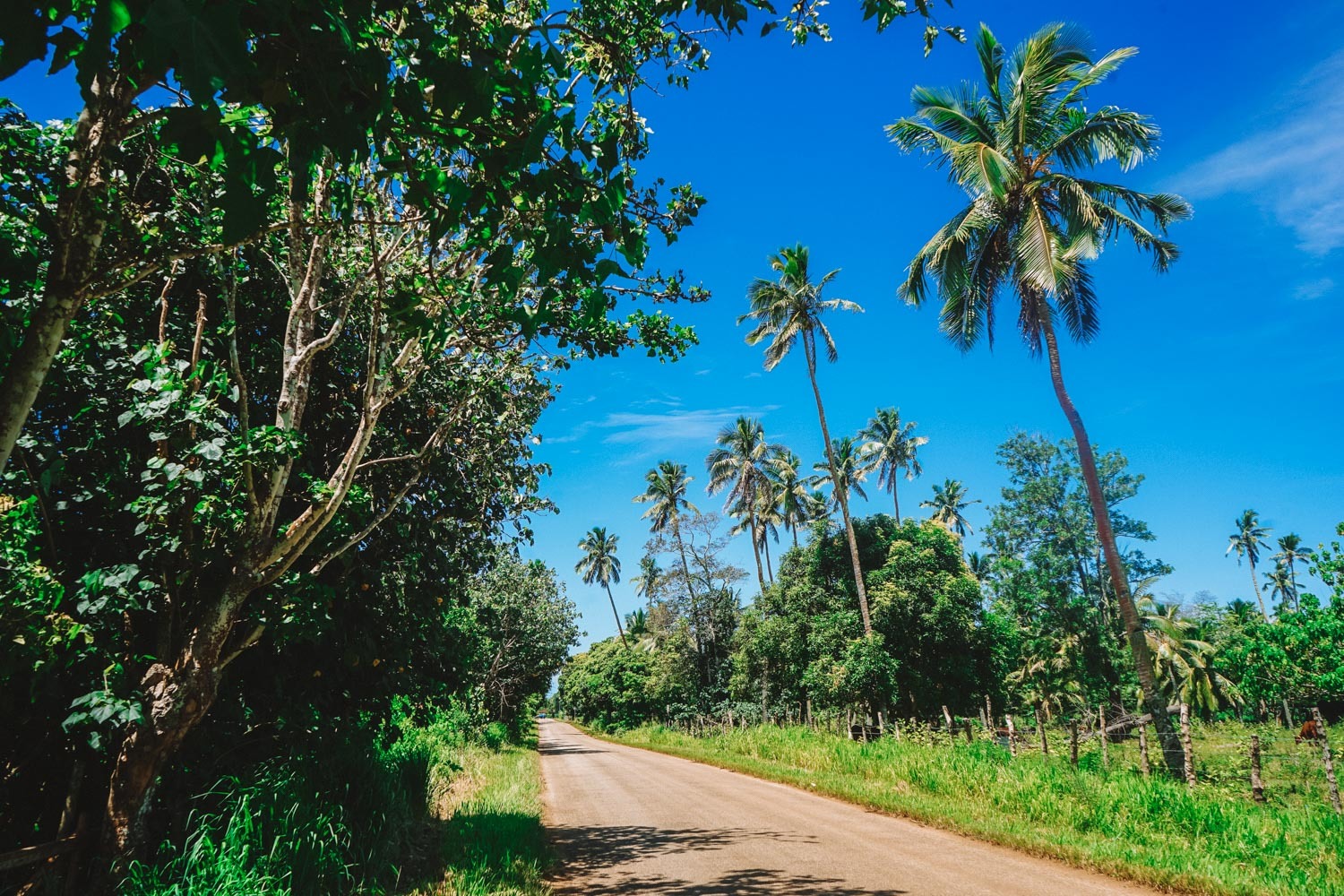 Random Geography. Part 29. Tonga. - Geography, Interesting, Travels, Random geography, Longpost