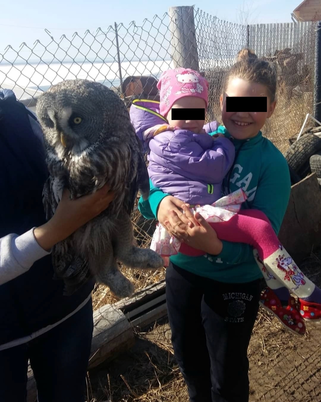 In the morning we woke up screaming, did not understand what it was ?! - Yakutia, Animal Rescue, Children, Orto Doidu Zoo, The photo, Longpost