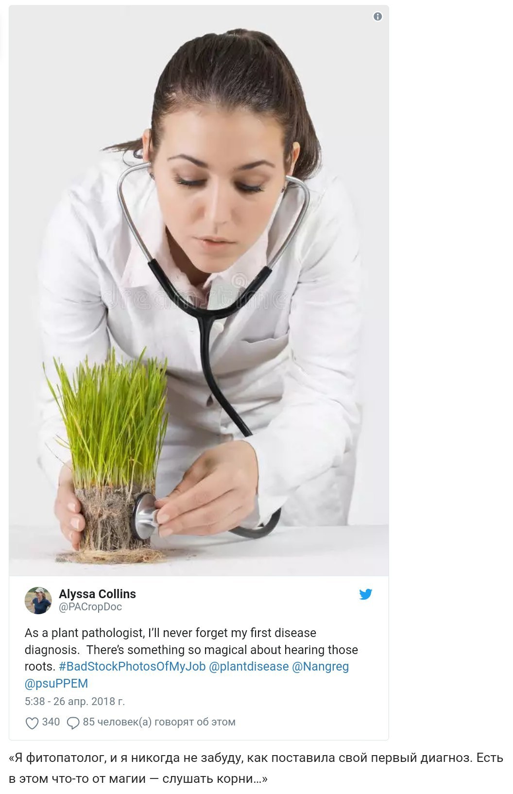 Scientists laugh at stock photos of scientists. - Humor, Screenshot, Twitter, Scientists, The photo, Longpost