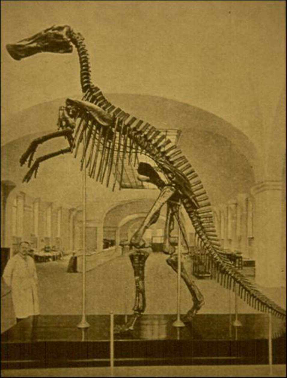 The first Russian dinosaur - Paleontology, Dinosaurs, Interesting, The science, Fossils, Copy-paste, Longpost