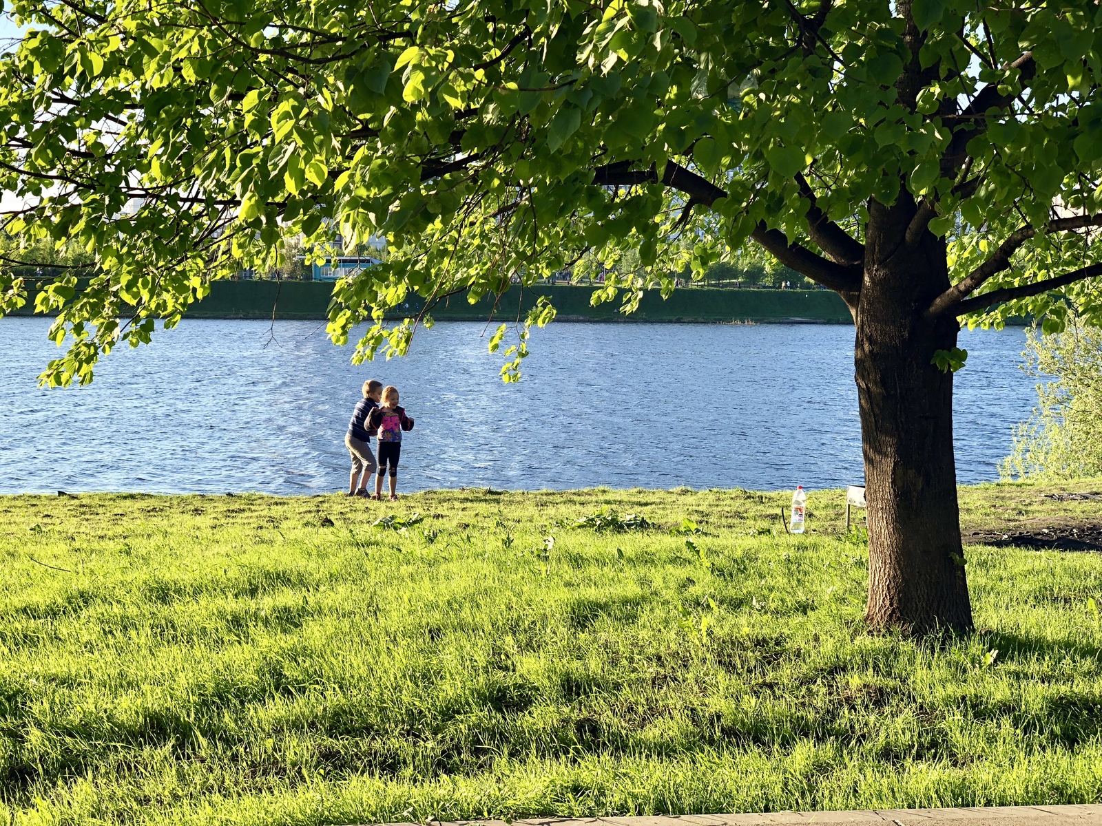 Maisky (Brateevsky, Park of the 850th Anniversary of Moscow) - My, The photo, The park, Moscow, , , Maryino, Longpost