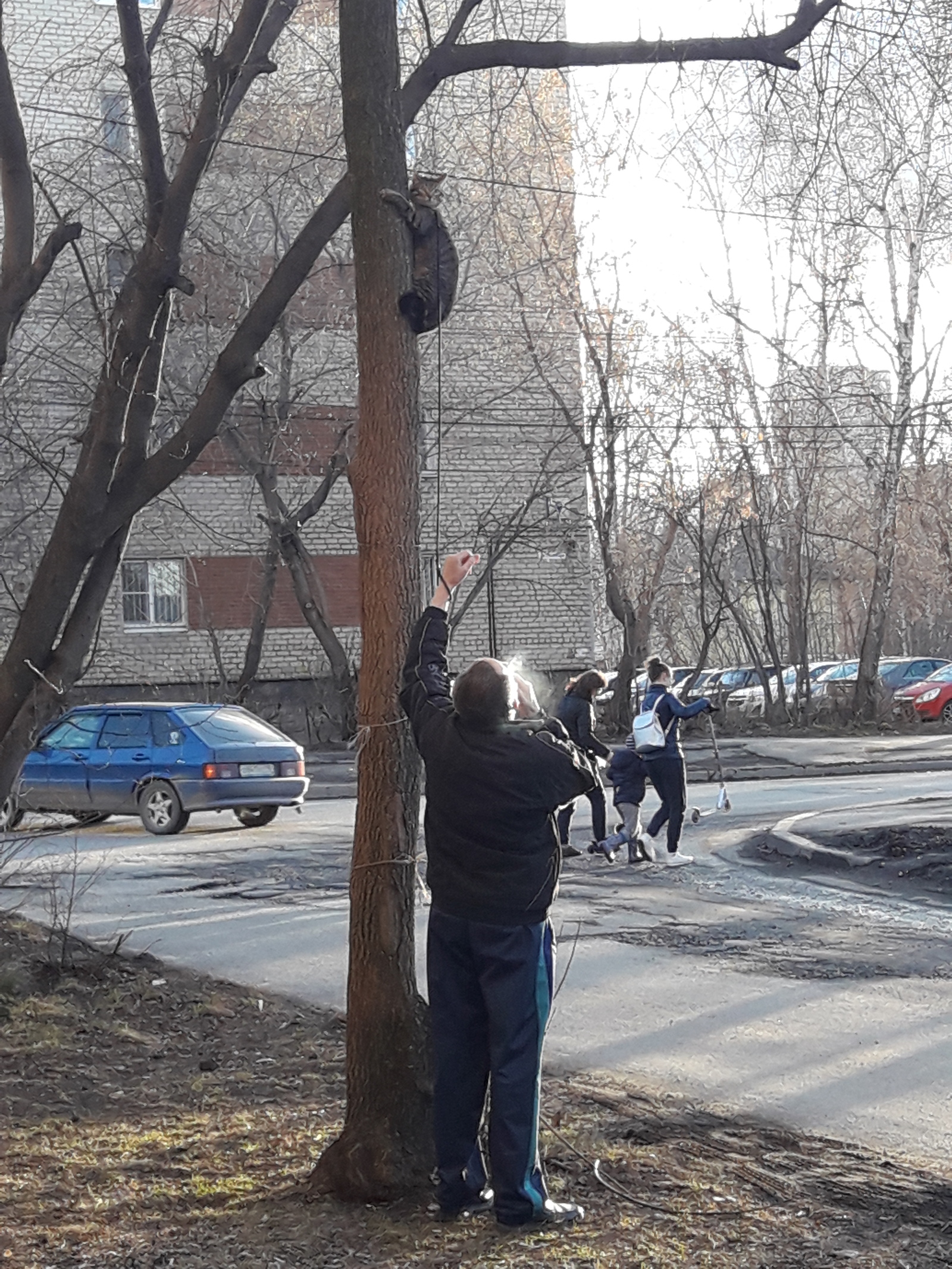 Just a man walking with a cat - My, cat, Walk, Yekaterinburg