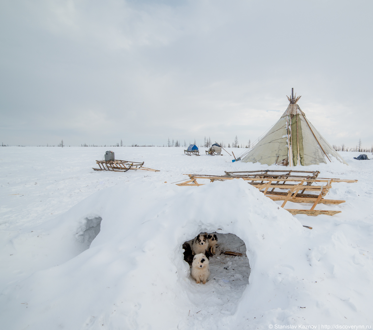 Yamal, beautiful and unforgettable... We will definitely be back! - My, Yamal, Salekhard, Photo tour, Travel across Russia, Longpost