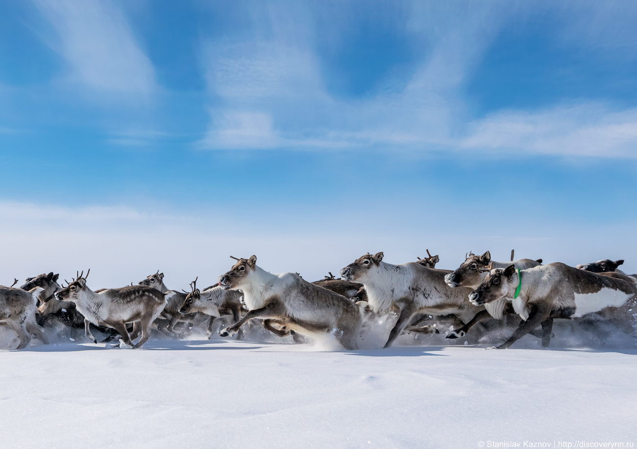 Yamal, beautiful and unforgettable... We will definitely be back! - My, Yamal, Salekhard, Photo tour, Travel across Russia, Longpost