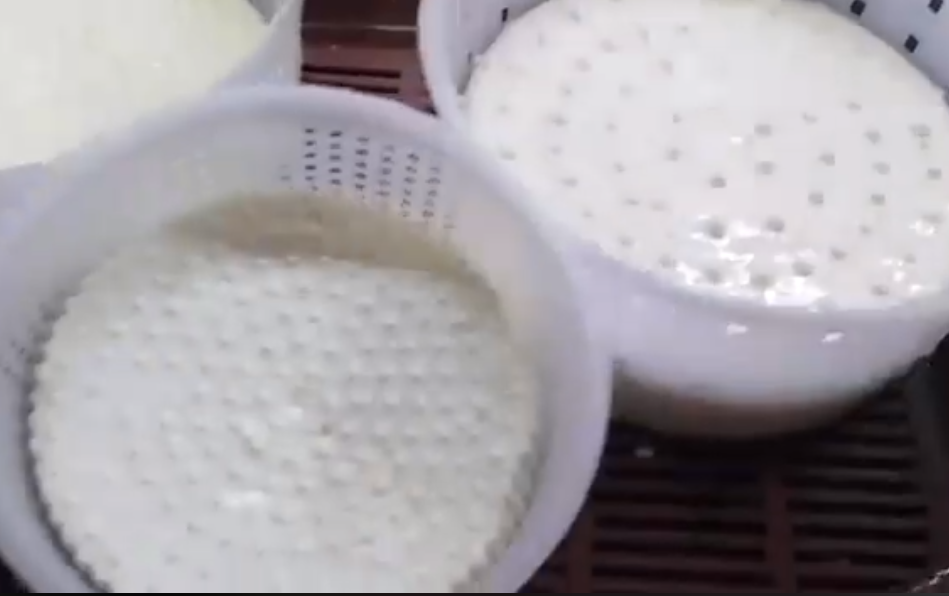 Cypriot cheese Hallumi at home. - My, Cheese, Cheese making, , , Longpost