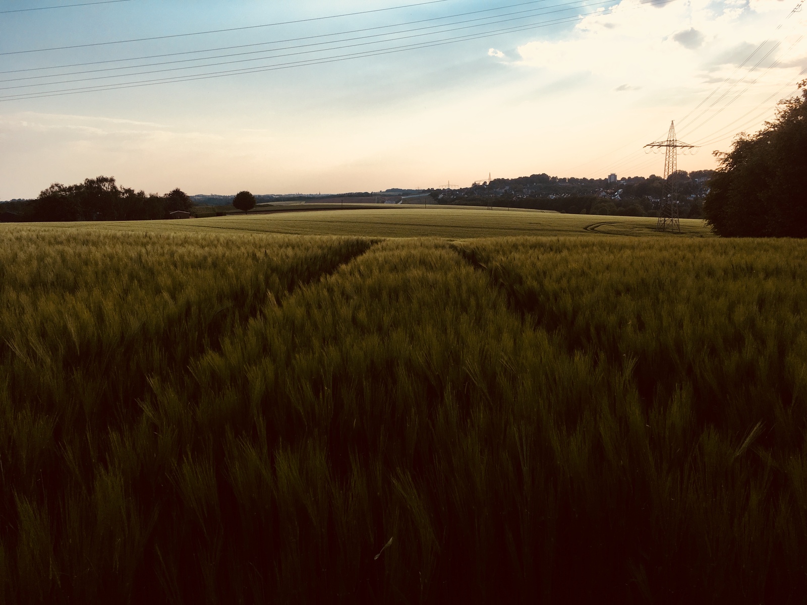 Fields - My, Field, Germany, Essen