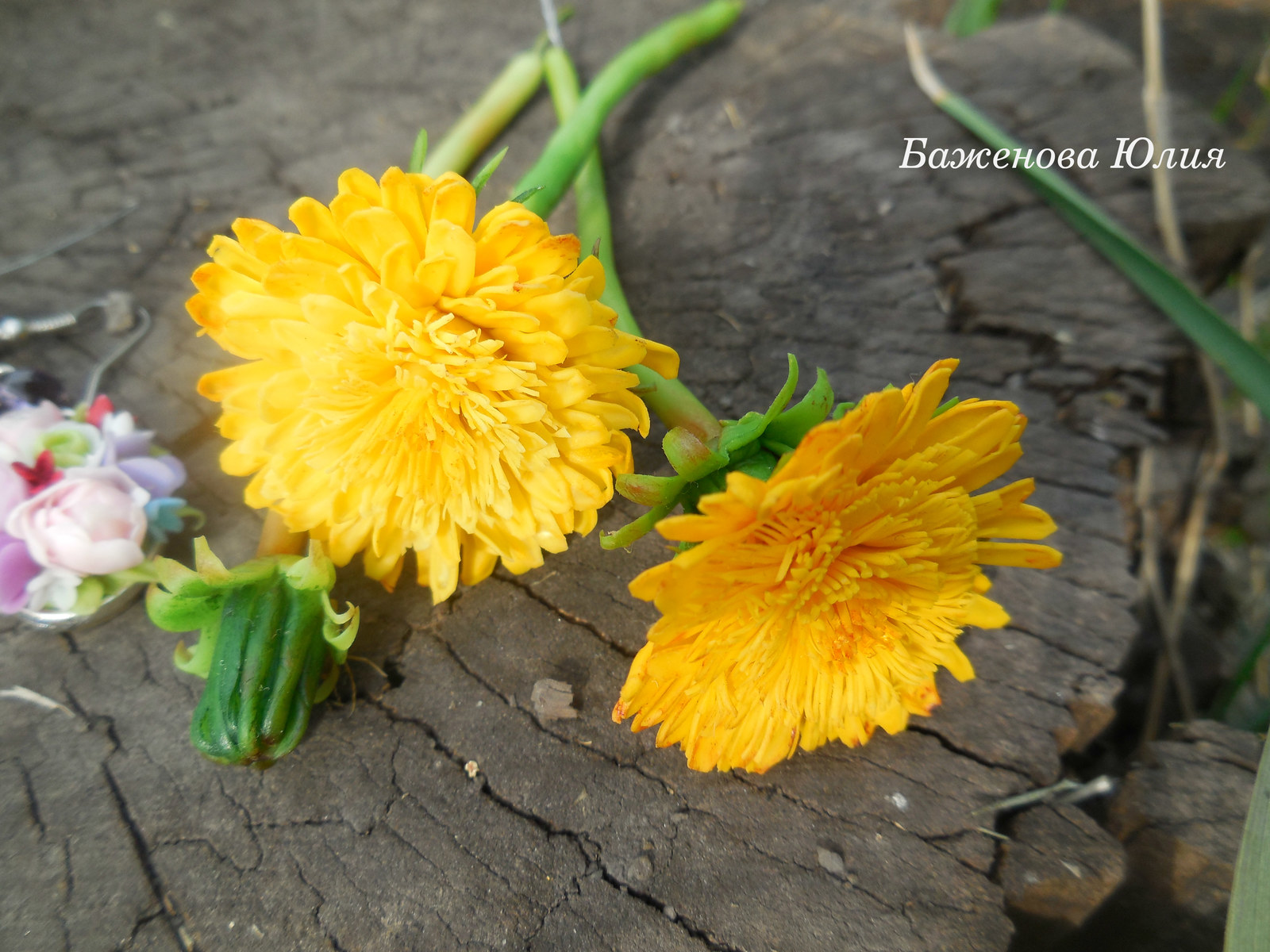 Handmade dandelions from cold porcelain... - My, Dandelion, Polymer floristry, With your own hands, Cold porcelain, Summer, Needlework without process