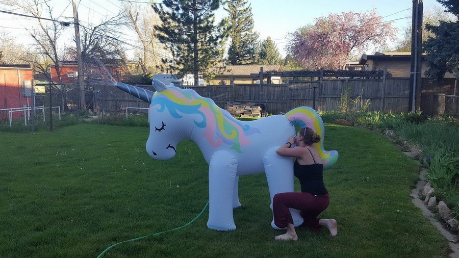 inflatable unicorn - Unicorn, , The photo, Inflator