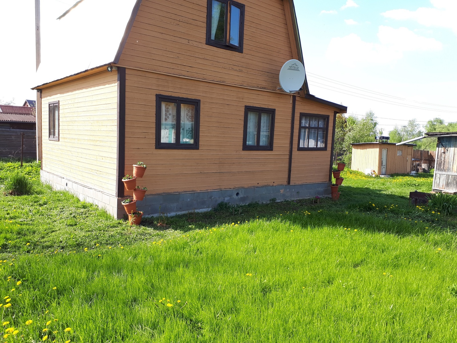 Falling pots for strawberries - My, Strawberry, Dacha, Gardening, Pots, Longpost, Strawberry (plant)