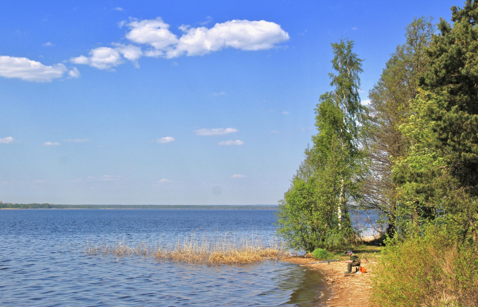 And it all went ... through the forest - , Fishing, Nature, Loneliness, Calmness, Relaxation