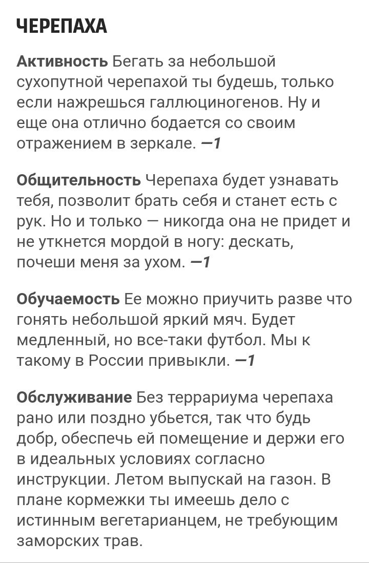 Питомец - Черепаха, Питомец, Животные, Описание, Баллы, Домашние животные