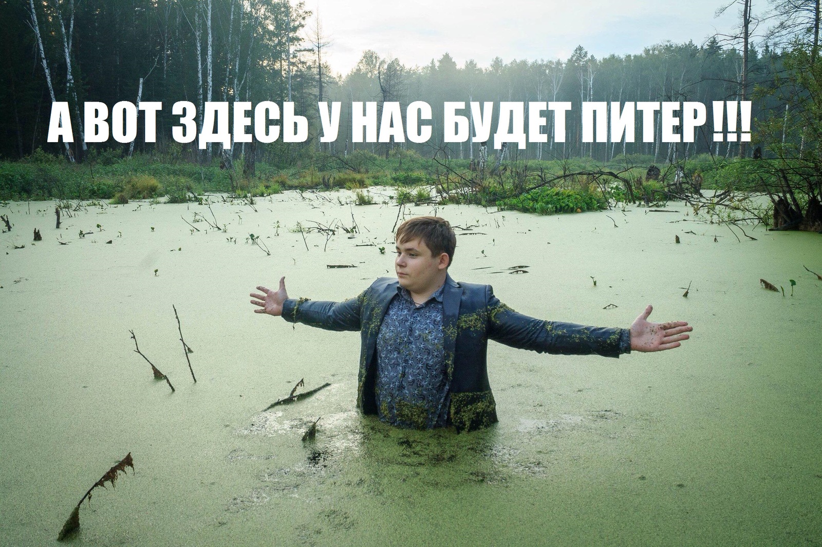Мемы про болото