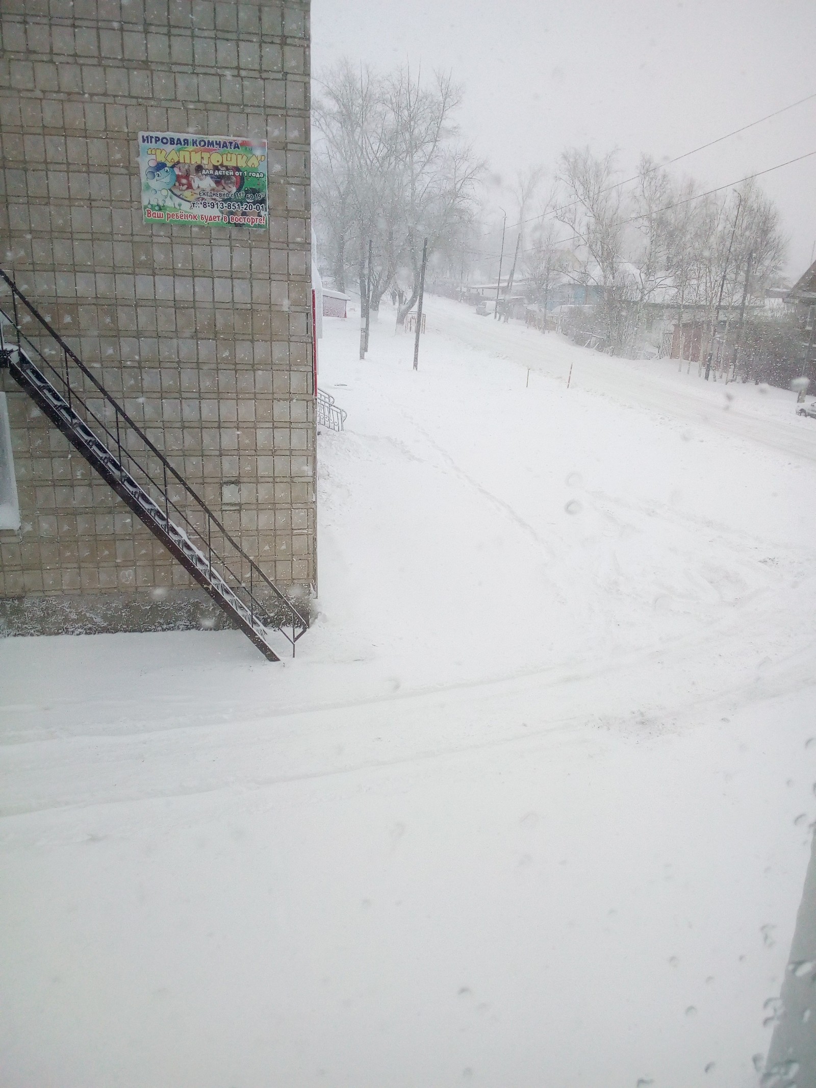 May 19 Tomsk region is the height of spring))) - My, Spring, Weather, Longpost