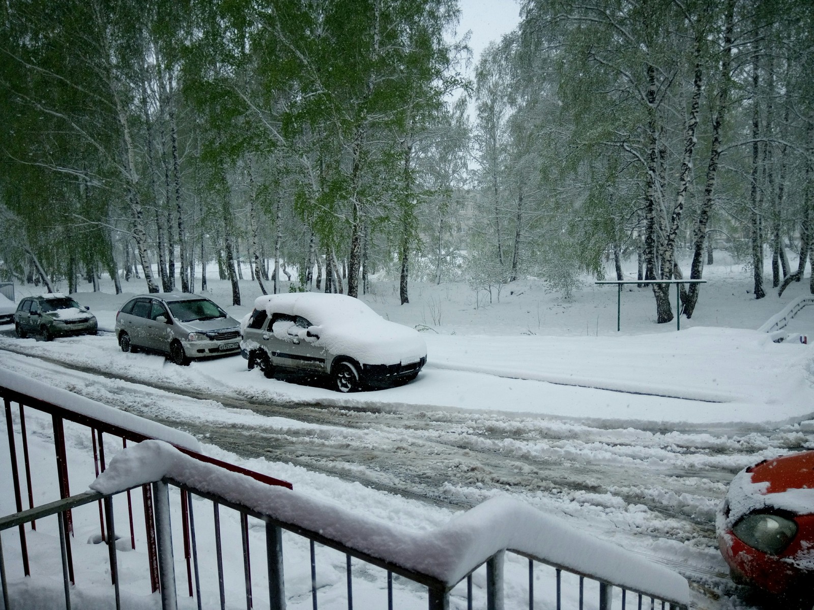 Снег в мае 2010 2011 Ленинградская область