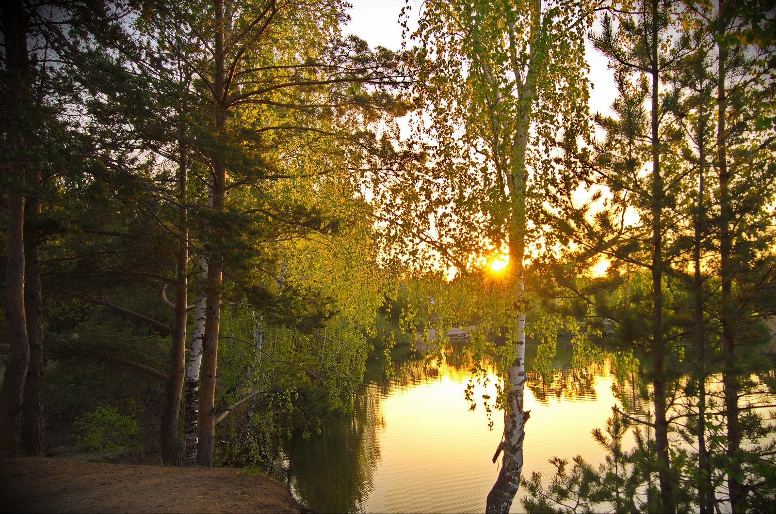 May sunset - Russia, Nature, Lake, Birch, Sunset, beauty