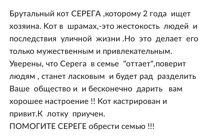 Лучшее описание на авито из всех что я видел. - Сергей, Кот, Длиннопост, Котомафия, Серый