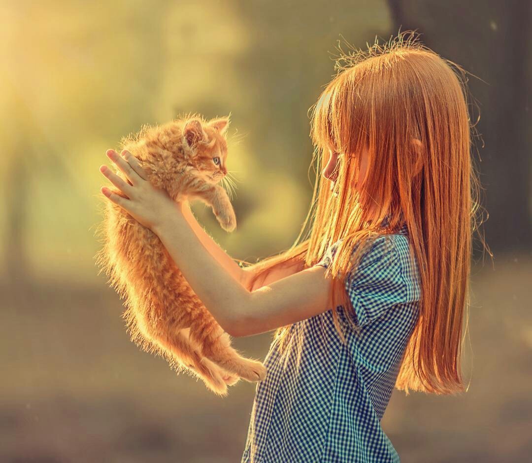 Brotherhood of redheads - cat, Children, Redheads