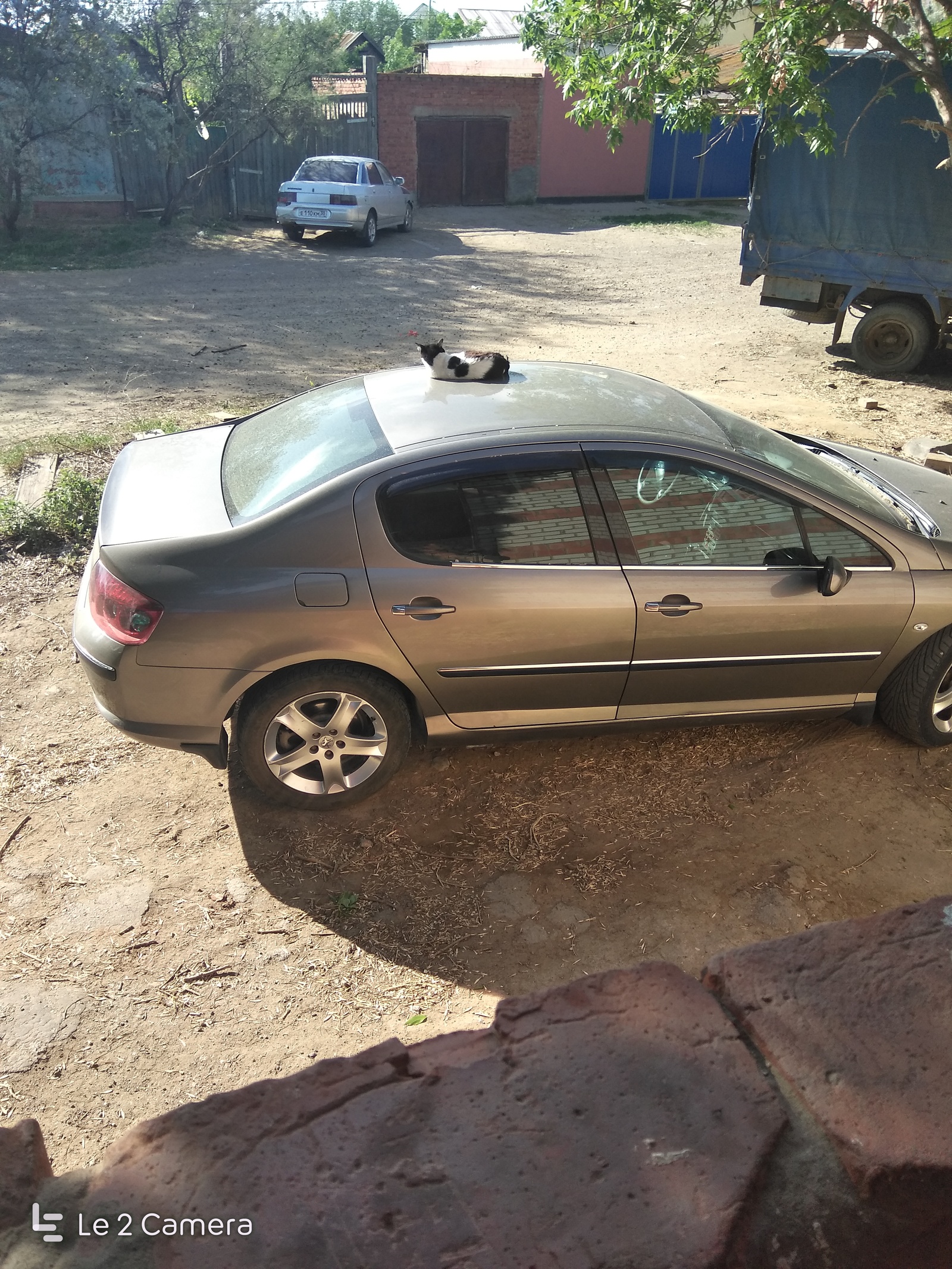 A place under the sun...) - My, Catomafia, Peugeot, cat