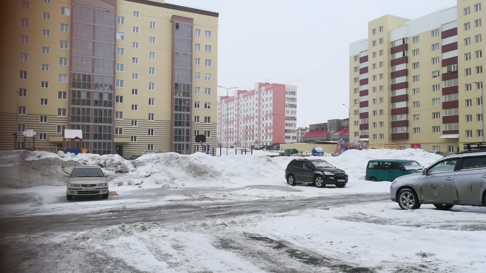 Просто кусочек зелёного лета в подъезде - Моё, Холодно, Зелень, Длиннопост