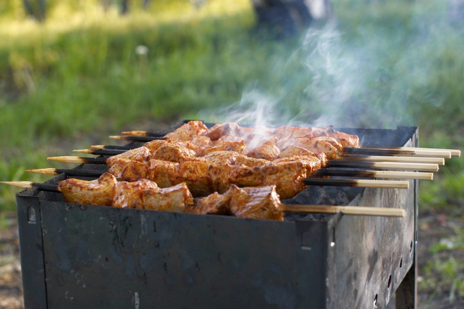 Fried retrospective - My, Shashlik, B-B-Q, BBQ, Meat, Bonfire, Brazier, Bricks, Yummy, Longpost