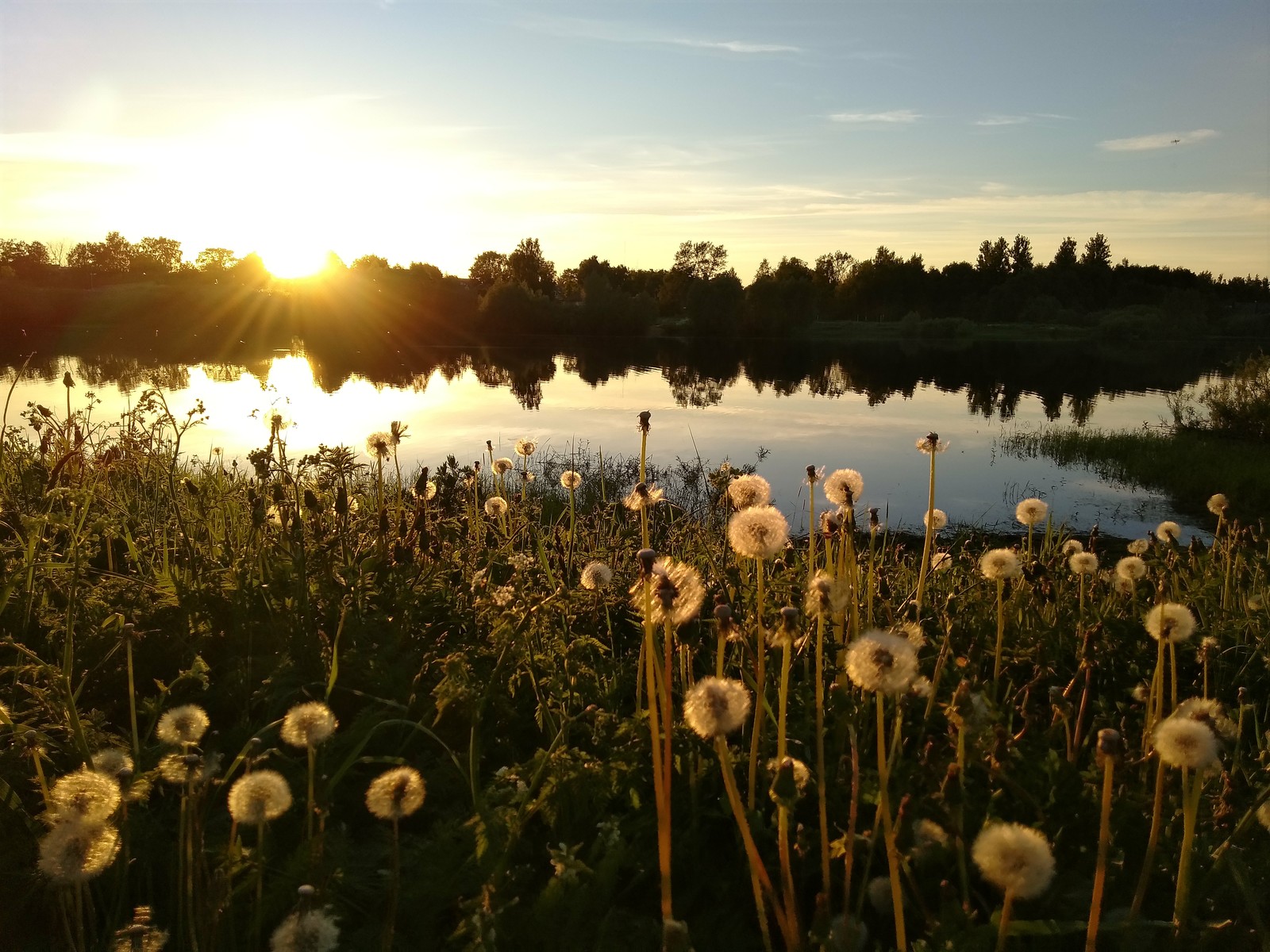 Peace and quiet - My, Nature, River, Sunset, Summer