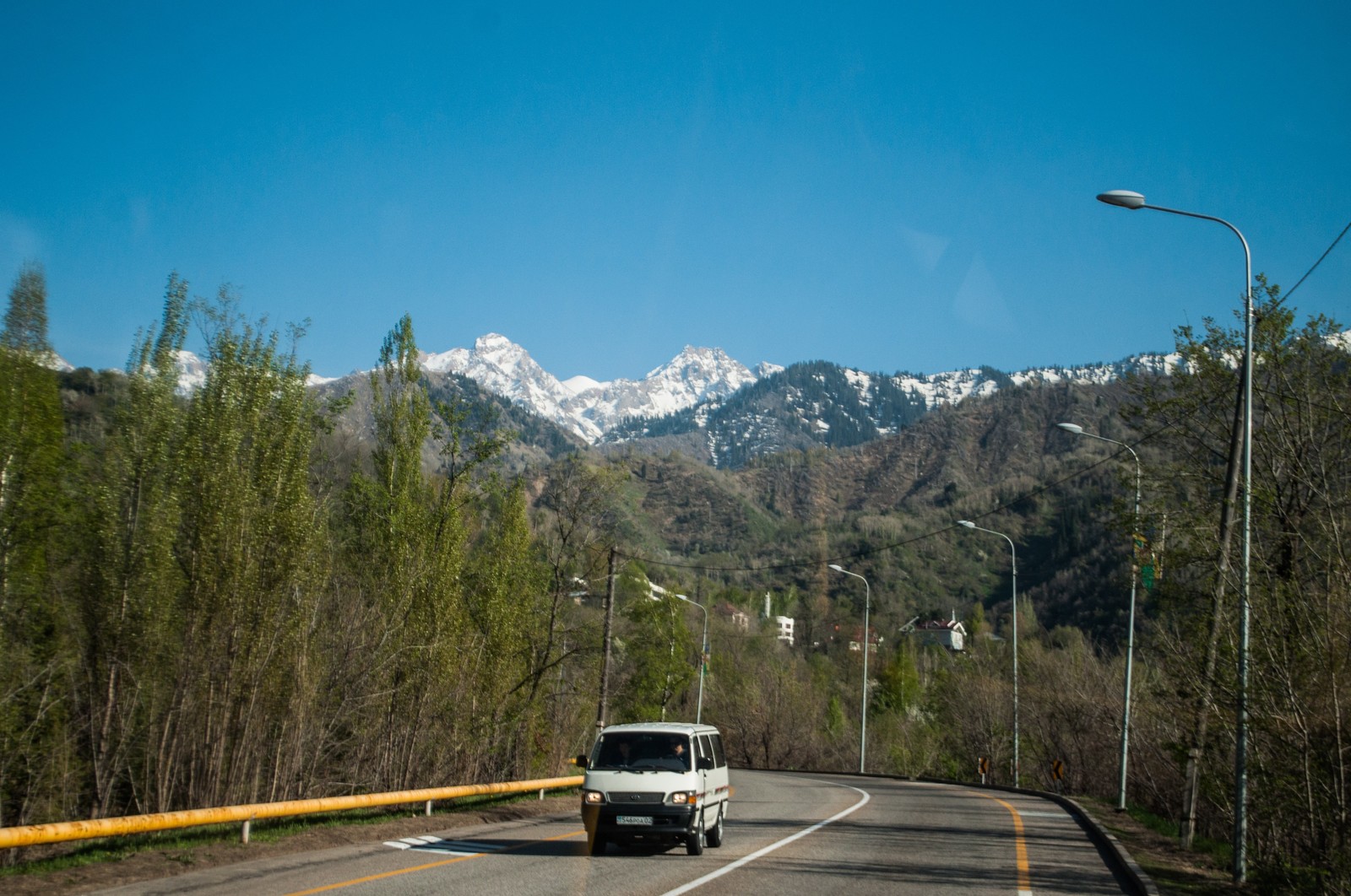 Everyone starts somewhere somewhere. - My, The photo, Metro, Almaty mountains, Flowers, Nature, Longpost