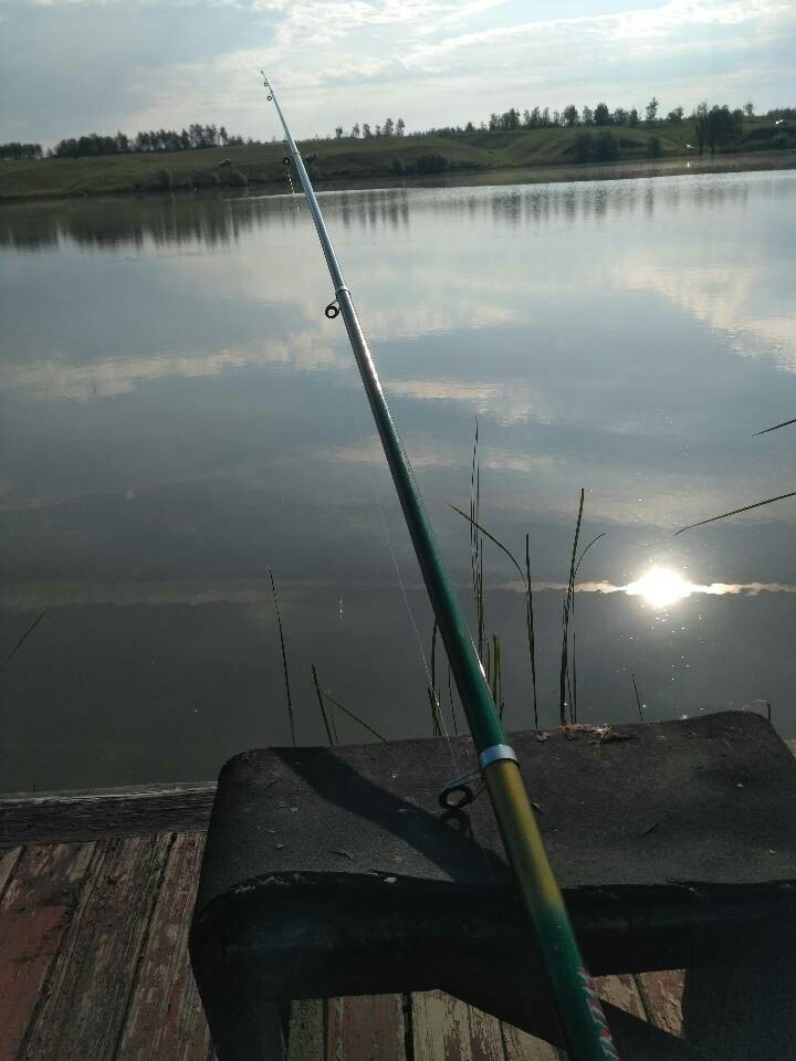 Summer is coming - My, My, Village, Fishing, Nature, Silence, Longpost