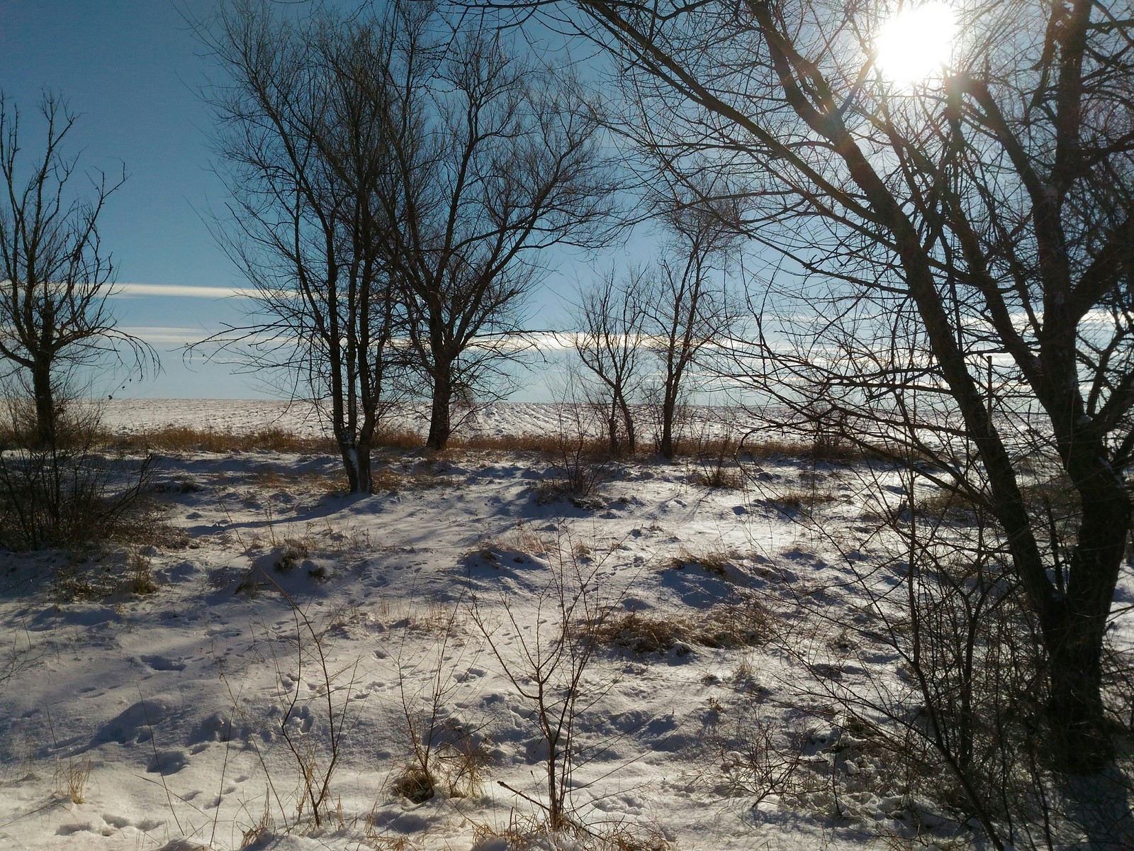 Zimushka - My, Winter, Crimea, , The sun, Snow, Slopok, Saki City