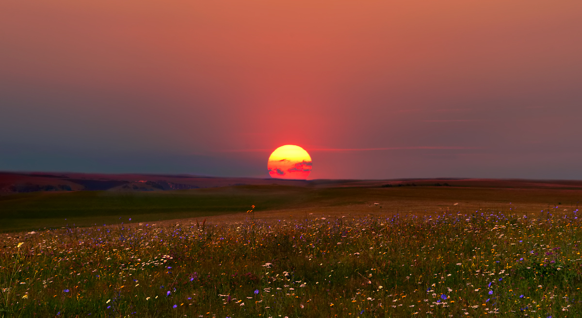 Warm sunset with the scent of flowers - My, Sunset, Flowers, Summer, Alpine meadows