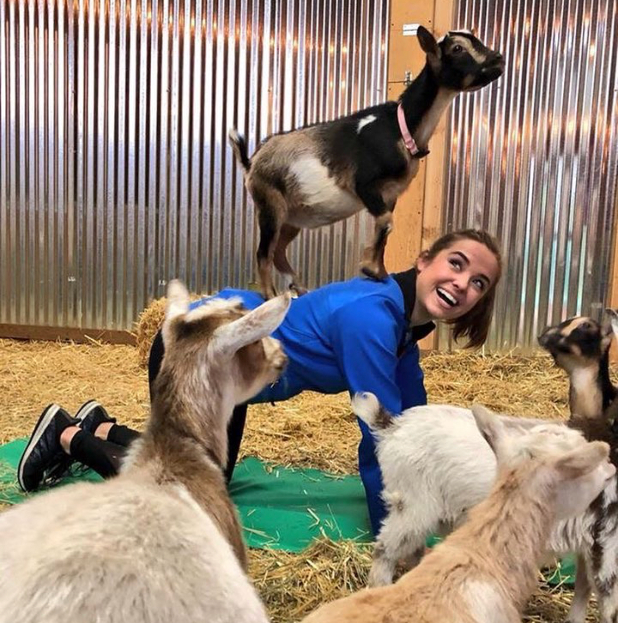 When your high school crush hangs out with some goats - Beautiful girl, Goat