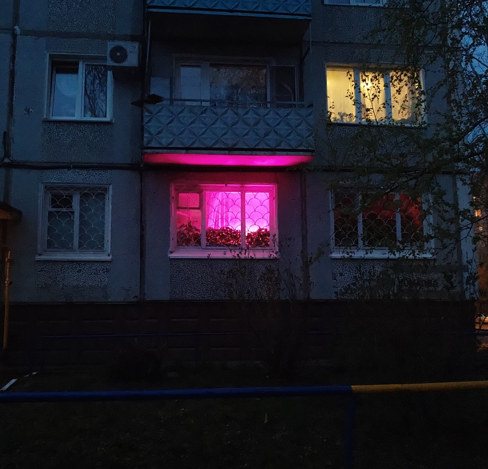 Beauty - My, Window, The photo, Light, Pink