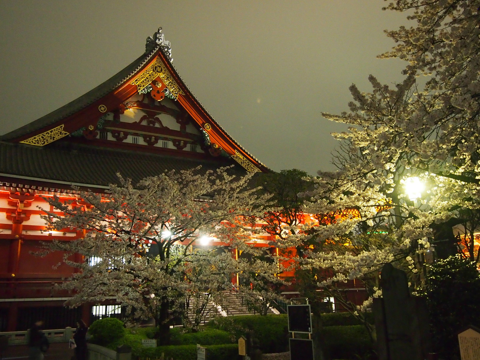 Yuzakura - My, Japan, Sakura, Asakusa, Travels, Longpost