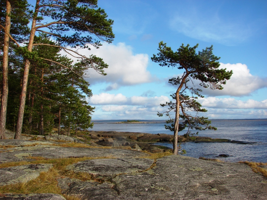 White Sea - White Sea, , Homeland, North, Longpost, The photo