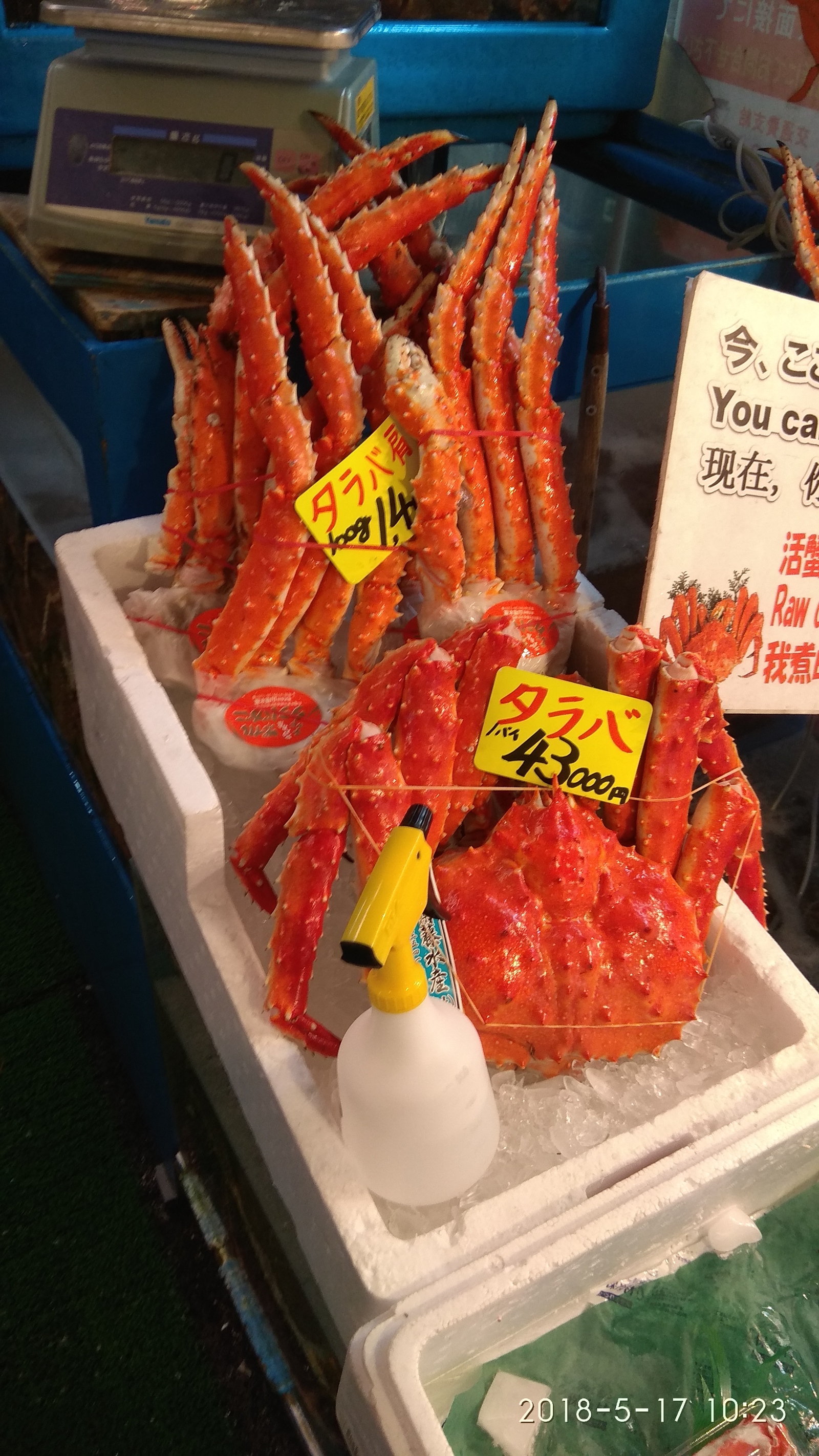 Travel to Japan. Ch.5 Tsukiji Market, Okinawa. - My, Japan, Travels, Okinawa, Hachiko, My, Longpost, 