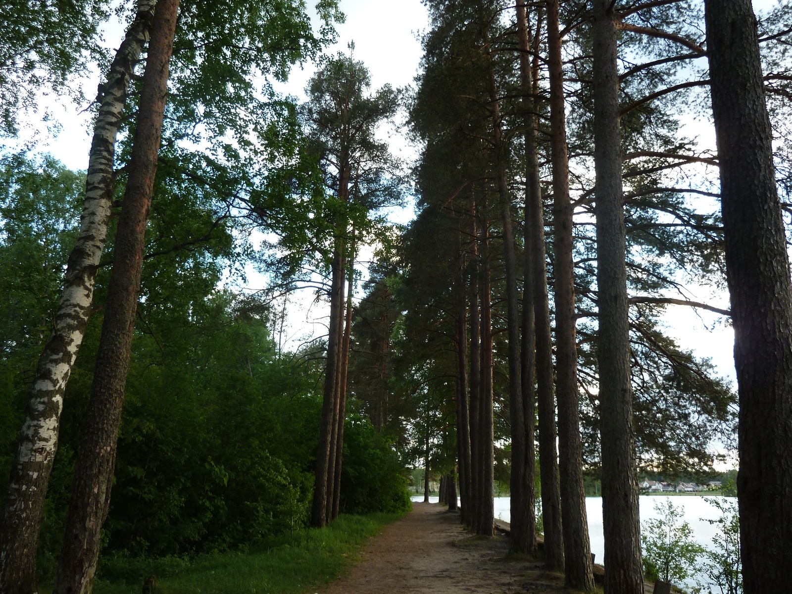 copper lake - My, copper lake, Seagulls, Lake, Copper Plant, White Nights, The photo, dust, Longpost