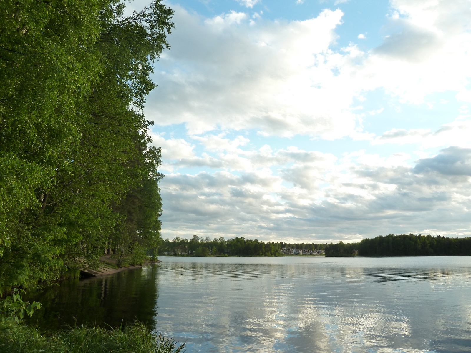 copper lake - My, copper lake, Seagulls, Lake, Copper Plant, White Nights, The photo, dust, Longpost