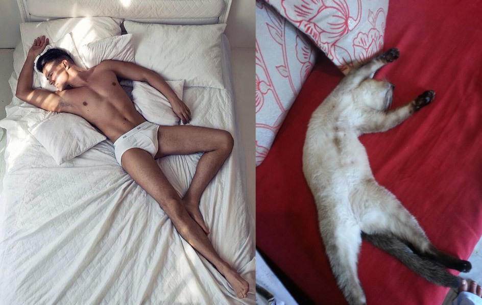 MEN LIKE CATS - Playgirl, Girls, A selection, cat, Men, Torso, Muscle, Guys, Longpost