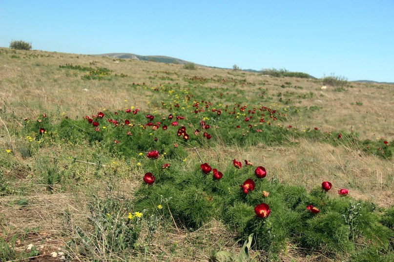 Brief report on an independent hike in the Crimea May 2018 Day one - My, Hike, Crimea, , Tourism, Travels, Chatyr-Dag, Longpost