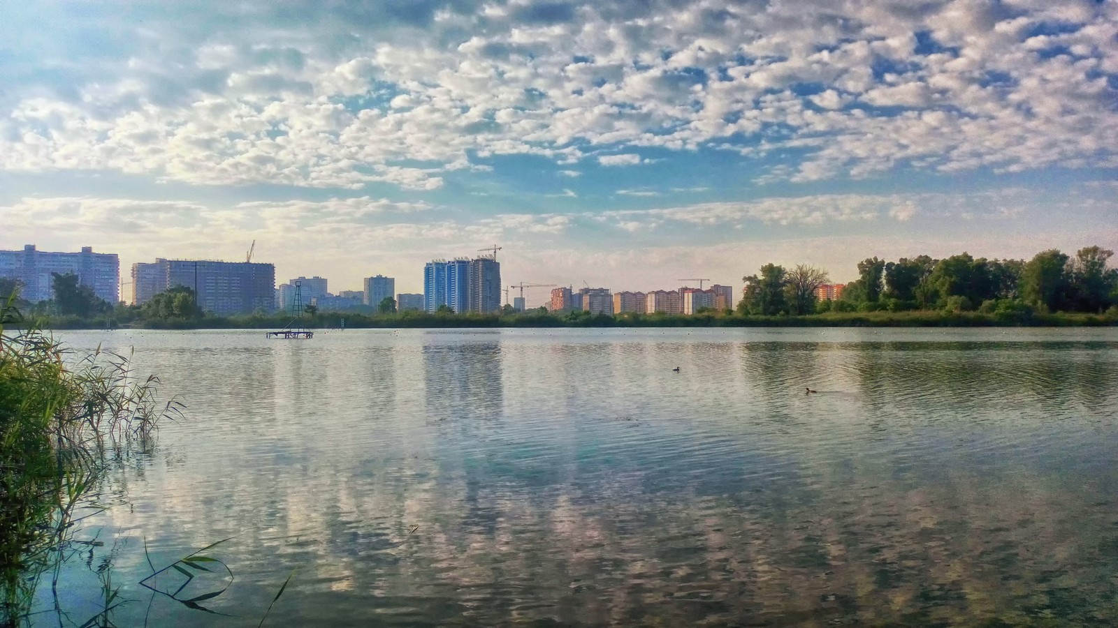 Cycling along the outskirts of Krasnodar towards the reservoir - My, A bike, The photo, Krasnodar, Morning, Kuban, River, Reservoir, Longpost